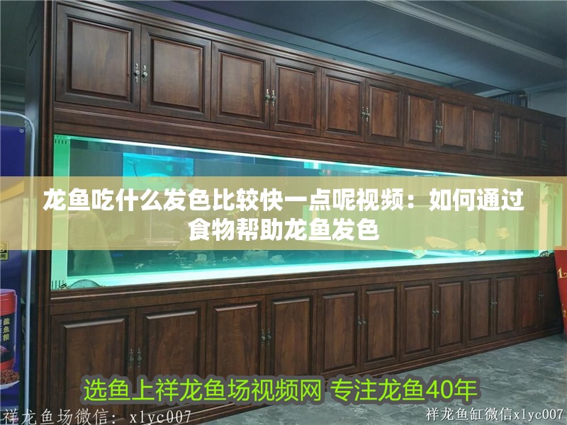 龍魚吃什么發(fā)色比較快一點呢視頻：如何通過食物幫助龍魚發(fā)色