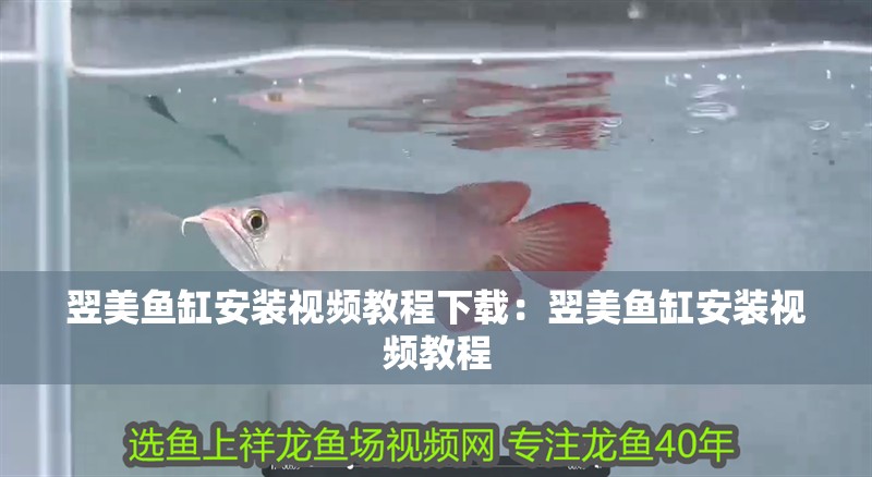翌美魚缸安裝視頻教程下載：翌美魚缸安裝視頻教程
