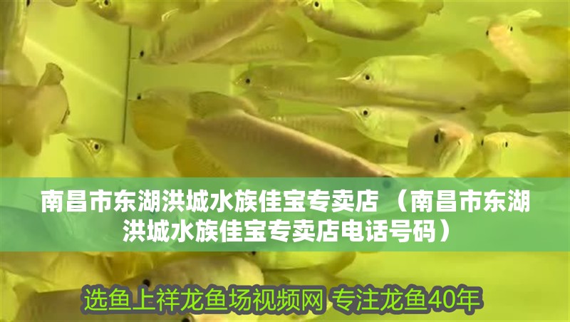 <strong><mark>南昌</mark></strong>市東湖洪城水族佳寶專賣店 （<strong><mark>南昌</mark></strong>市東湖洪城水族佳寶專賣店電話號碼）