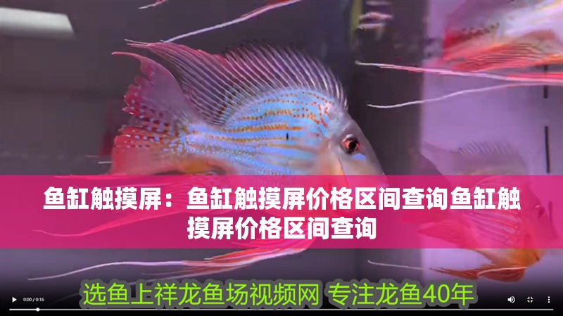 魚缸觸摸屏：魚缸觸摸屏價格區間查詢魚缸觸摸屏價格區間查詢 魚缸觸摸屏：魚缸觸摸屏價格區間查詢魚缸觸摸屏價格區間查詢 魚缸百科