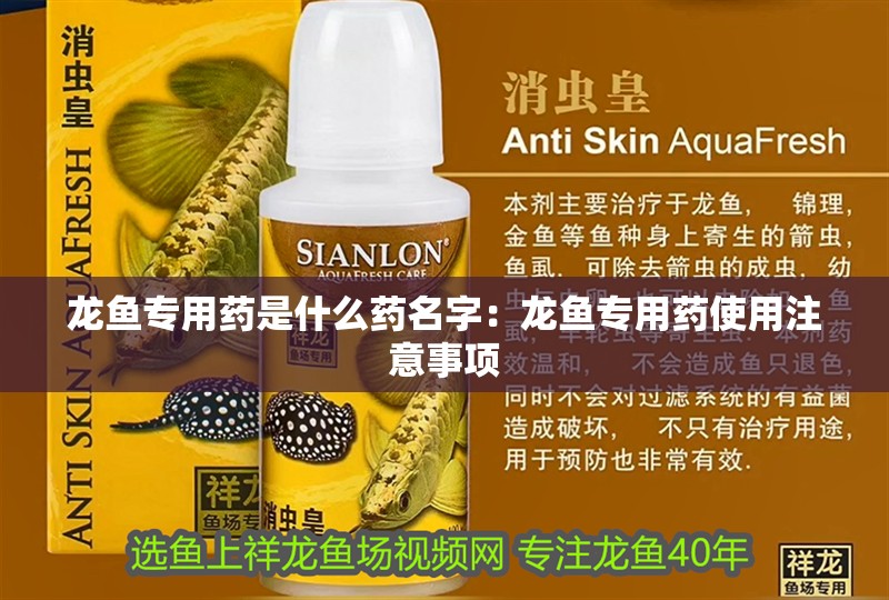 龍魚專用藥是什么藥名字：龍魚專用藥使用注意事項(xiàng)