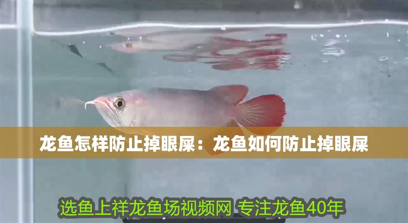 龍魚怎樣防止掉眼屎：龍魚如何防止掉眼屎