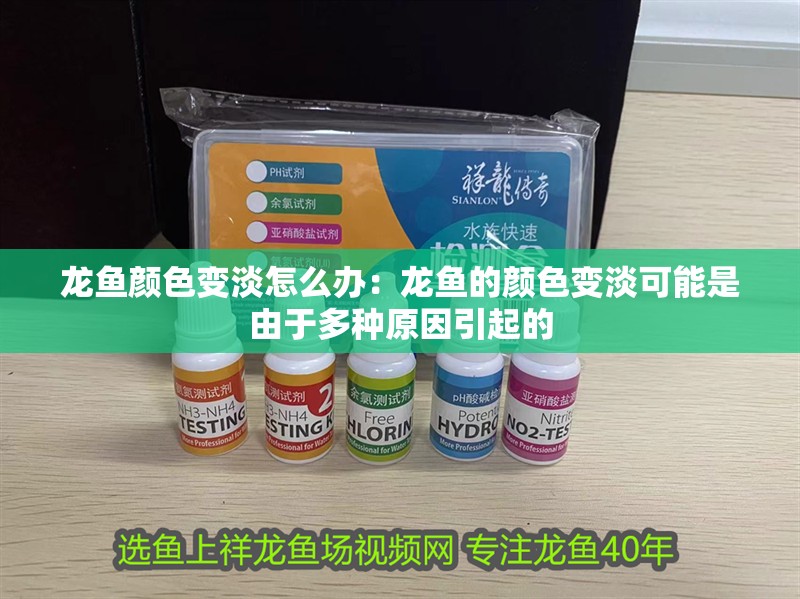 龍魚顏色變淡怎么辦：龍魚的顏色變淡可能是由于多種原因引起的