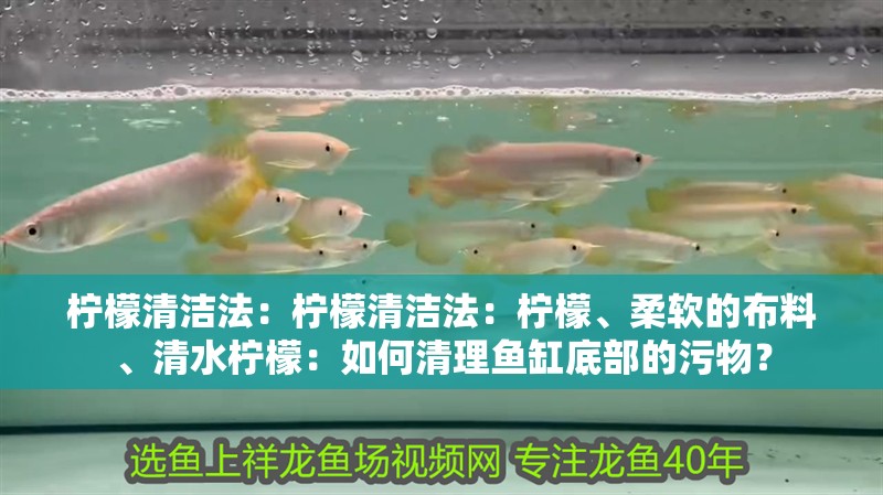 檸檬清潔法：檸檬清潔法：檸檬、柔軟的布料、清水檸檬：如何清理魚缸底部的污物？