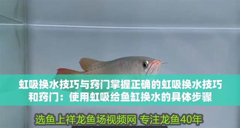 虹吸換水技巧與竅門掌握正確的虹吸換水技巧和竅門：使用虹吸給魚缸換水的具體步驟