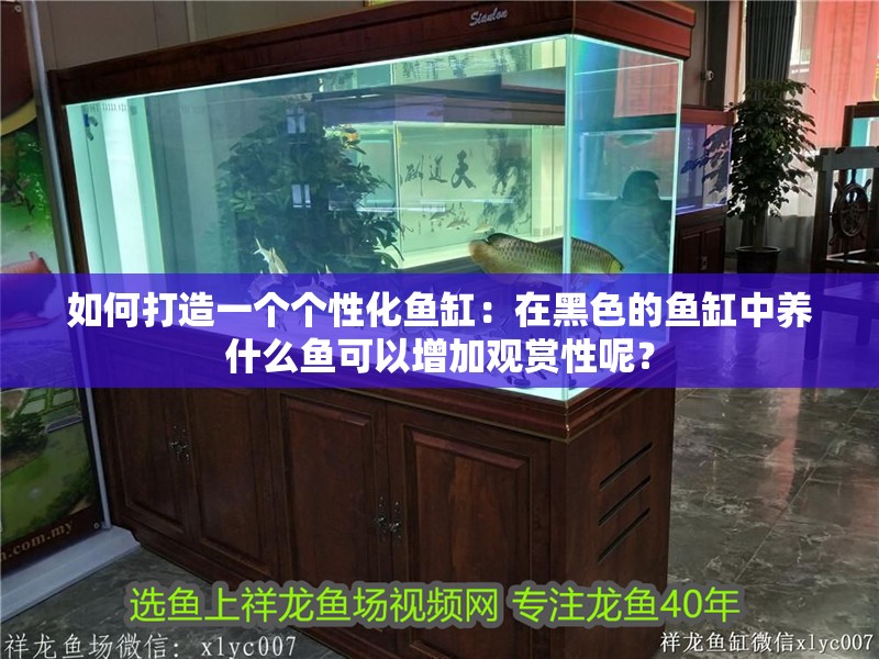 如何打造一個個性化魚缸：在黑色的魚缸中養什么魚可以增加觀賞性呢？