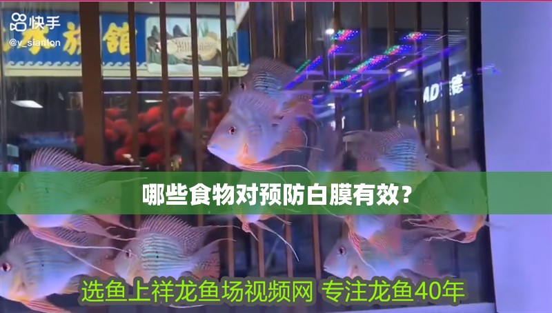 哪些食物對預防白膜有效？