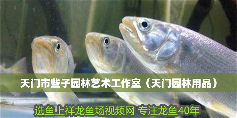 天門市些子園林藝術工作室（天門園林用品） 天門市些子園林藝術工作室（天門園林用品） 全國水族館企業名錄