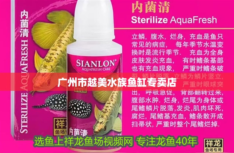 廣州市越美水族魚缸專賣店