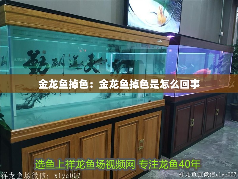 金龍魚掉色：金龍魚掉色是怎么回事