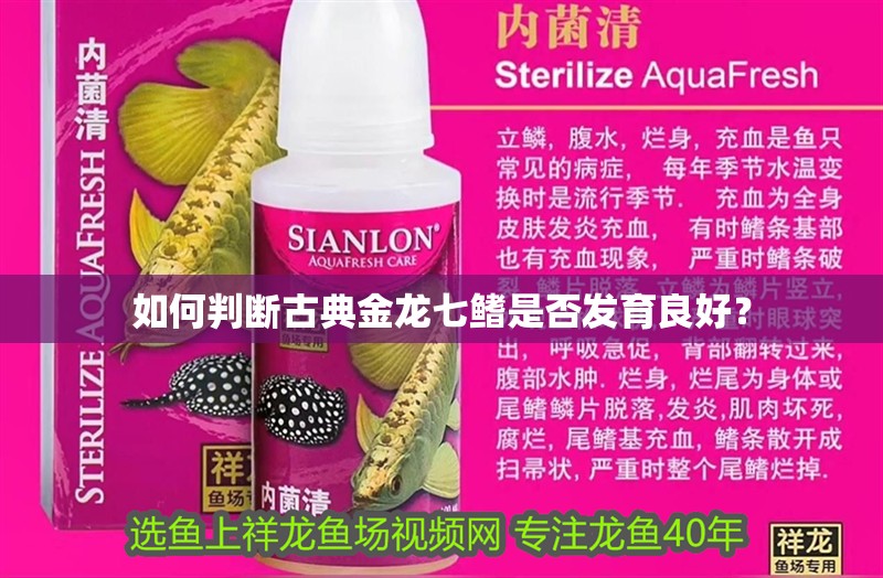 如何判斷古典金龍七鰭是否發育良好？