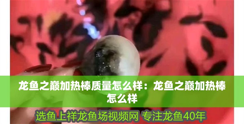 龍魚之巔加熱棒質(zhì)量怎么樣：龍魚之巔加熱棒怎么樣