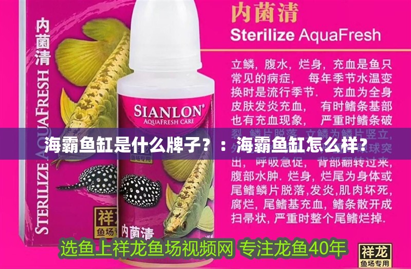 海霸魚缸是什么牌子？：海霸魚缸怎么樣？