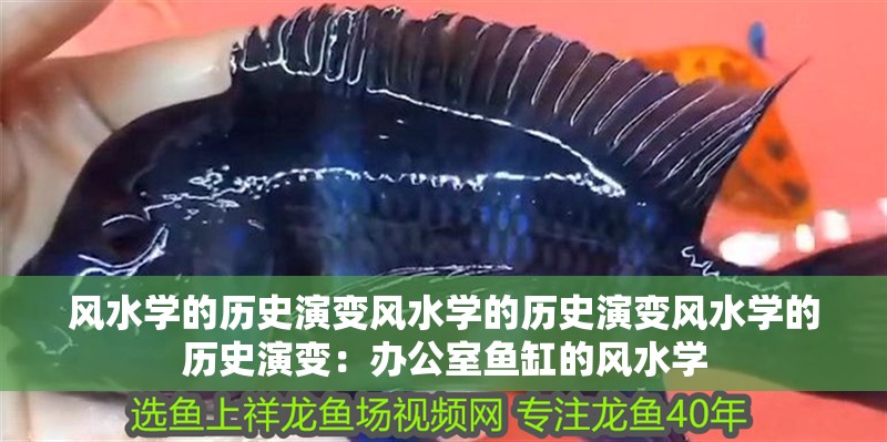 風(fēng)水學(xué)的歷史演變風(fēng)水學(xué)的歷史演變風(fēng)水學(xué)的歷史演變：辦公室魚缸的風(fēng)水學(xué)