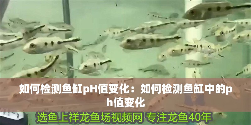 如何檢測魚缸pH值變化：如何檢測魚缸中的ph值變化