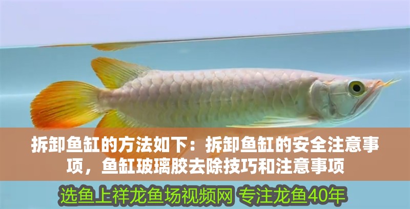 拆卸魚缸的方法如下：拆卸魚缸的安全注意事項，魚缸玻璃膠去除技巧和注意事項
