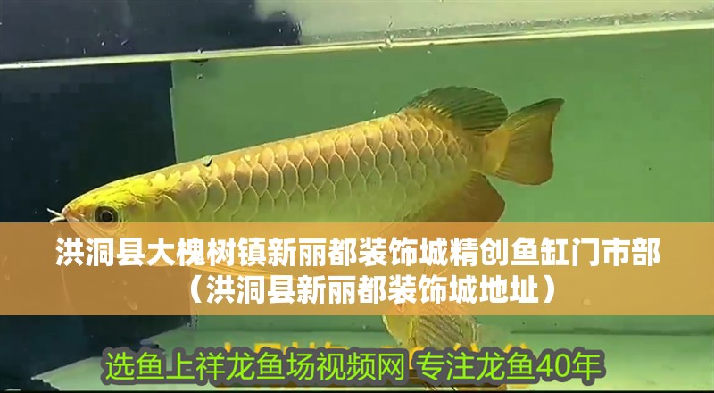 洪洞縣大槐樹鎮(zhèn)新麗都裝飾城精創(chuàng)魚缸門市部（洪洞縣新麗都裝飾城地址）