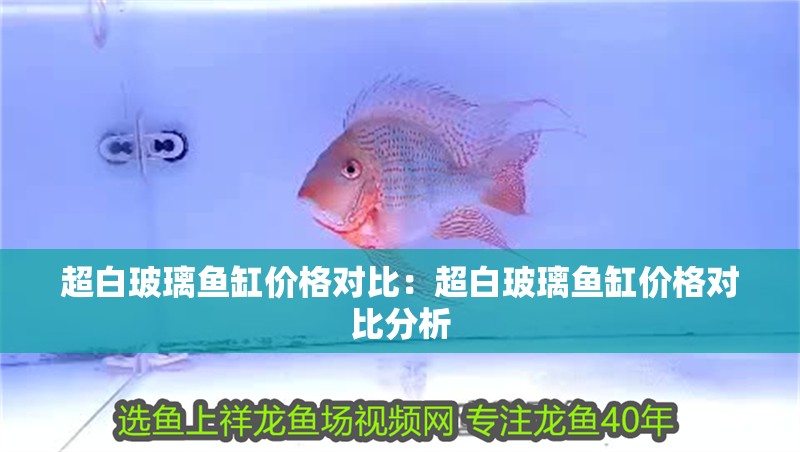 超白玻璃魚缸價格對比：超白玻璃魚缸價格對比分析 超白玻璃魚缸價格對比：超白玻璃魚缸價格對比分析 魚缸百科