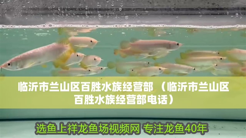 臨沂市蘭山區(qū)百勝水族經(jīng)營(yíng)部 （臨沂市蘭山區(qū)百勝水族經(jīng)營(yíng)部電話）