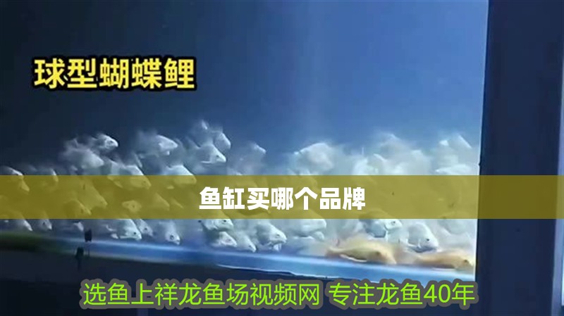 魚缸買哪個品牌