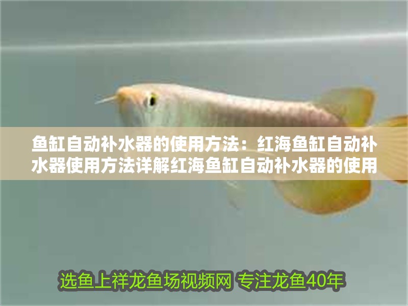 魚缸自動補水器的使用方法：紅海魚缸自動補水器使用方法詳解紅海魚缸自動補水器的使用方法