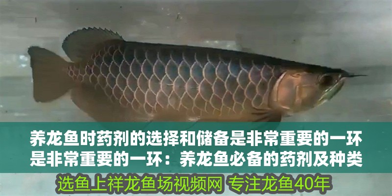 養(yǎng)龍魚時藥劑的選擇和儲備是非常重要的一環(huán)是非常重要的一環(huán)：養(yǎng)龍魚必備的藥劑及種類
