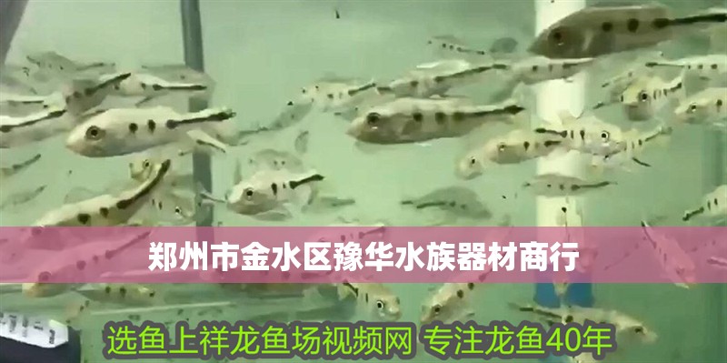 鄭州市金水區豫華<strong><mark>水族器材</mark></strong>商行