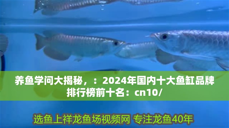 養(yǎng)魚學(xué)問大揭秘，：2024年國內(nèi)十大魚缸品牌排行榜前十名：cn10/