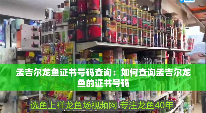 孟吉爾龍魚證書號(hào)碼查詢：如何查詢孟吉爾龍魚的證書號(hào)碼