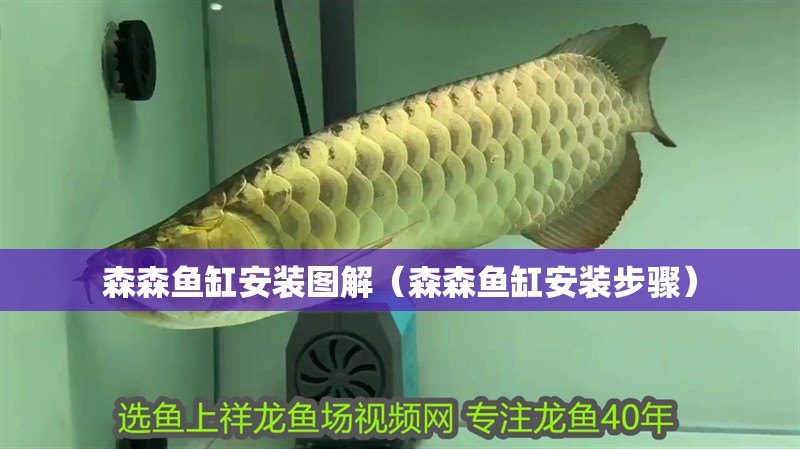 森森魚缸安裝圖解（森森魚缸安裝步驟）