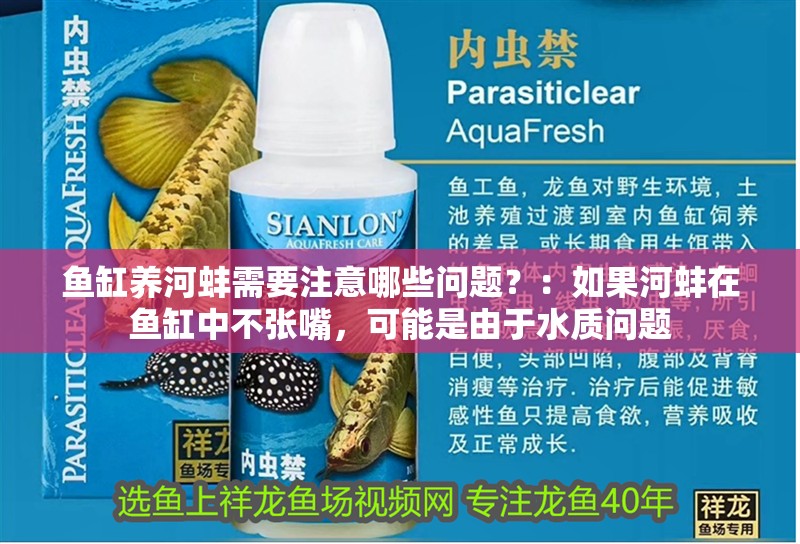 魚缸養河蚌需要注意哪些問題？：如果河蚌在魚缸中不張嘴，可能是由于水質問題