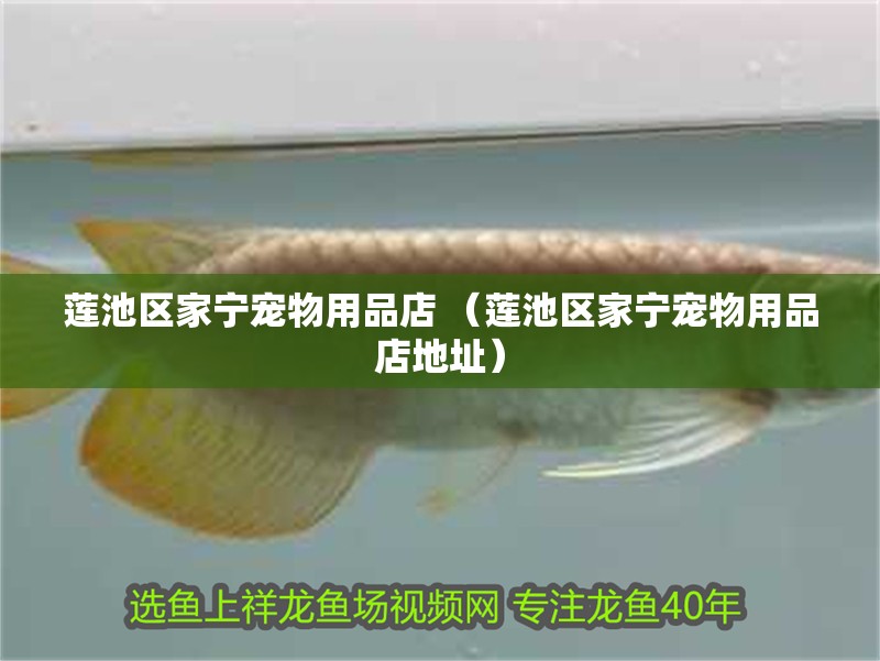 蓮池區(qū)家寧寵物用品店 （蓮池區(qū)家寧寵物用品店地址）