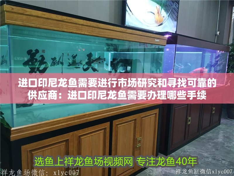 進口印尼龍魚需要進行市場研究和尋找可靠的供應商：進口印尼龍魚需要辦理哪些手續