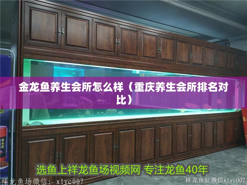 金龍魚養(yǎng)生會所怎么樣（重慶養(yǎng)生會所排名對比）