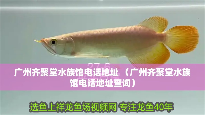 廣州齊聚堂水族館電話地址 （廣州齊聚堂水族館電話地址查詢） 廣州齊聚堂水族館電話地址 （廣州齊聚堂水族館電話地址查詢） 全國水族館企業名錄