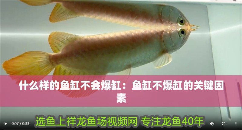 什么樣的魚缸不會爆缸：魚缸不爆缸的關鍵因素