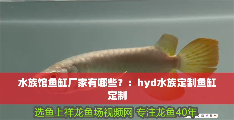 水族館魚缸廠家有哪些？：hyd水族定制魚缸定制