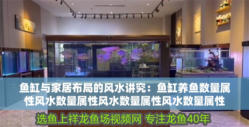 魚缸與家居布局的風(fēng)水講究：魚缸養(yǎng)魚數(shù)量屬性風(fēng)水數(shù)量屬性風(fēng)水數(shù)量屬性風(fēng)水數(shù)量屬性