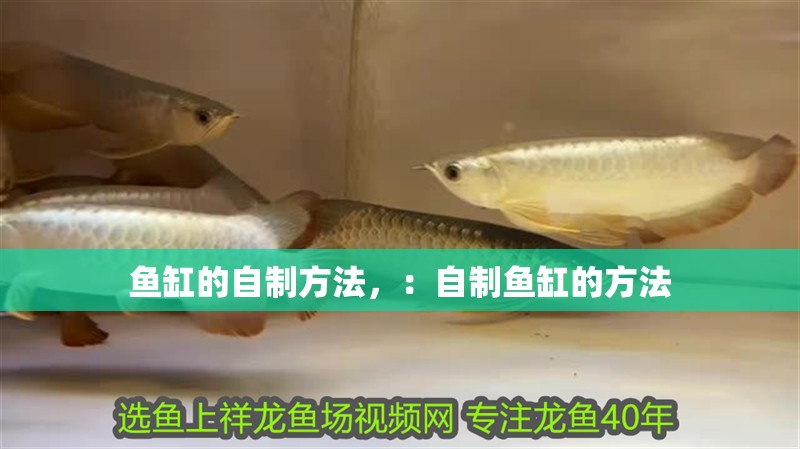 魚缸的自制方法，：自制魚缸的方法