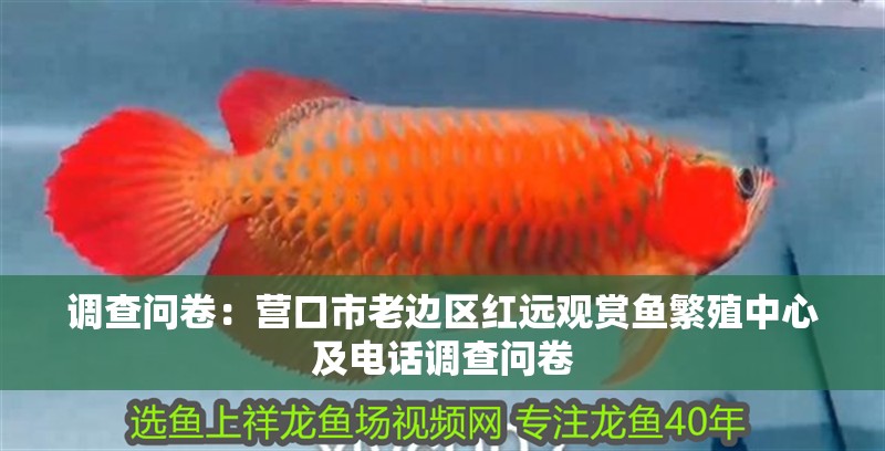 調(diào)查問卷：營口市老邊區(qū)紅遠觀賞魚繁殖中心及電話調(diào)查問卷