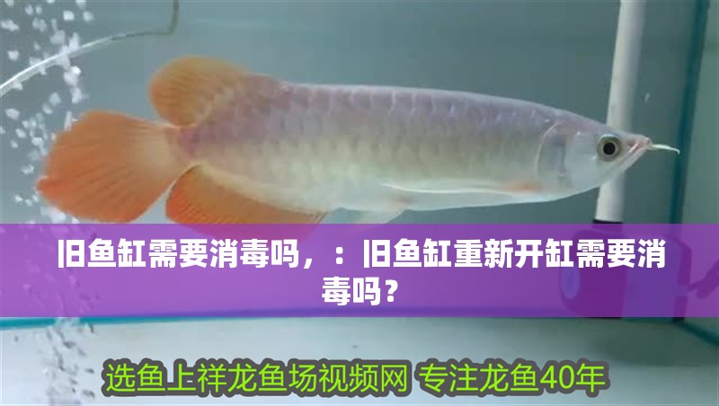 舊魚缸需要消毒嗎，：舊魚缸重新開缸需要消毒嗎？