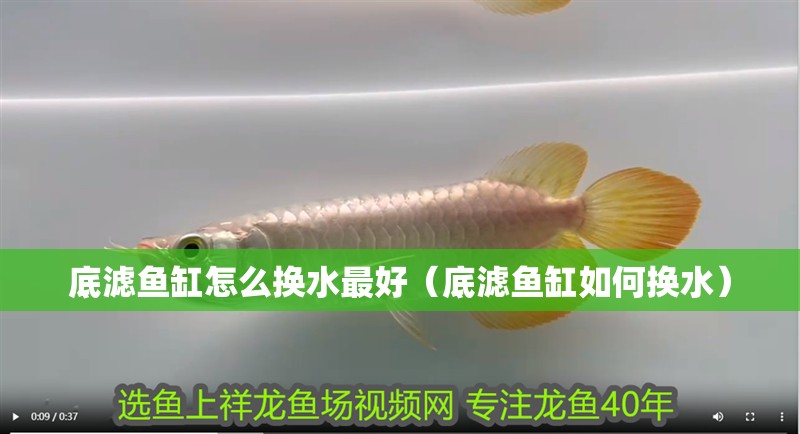底濾魚缸怎么換水最好（底濾魚缸如何換水）