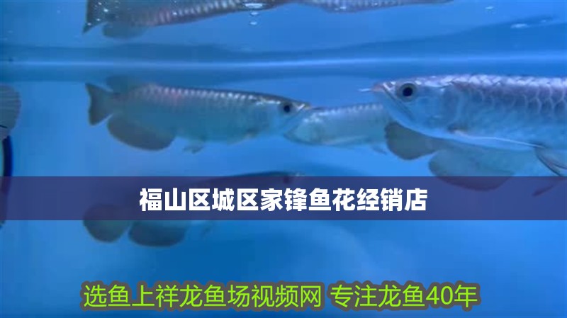 <strong><mark>福山</mark></strong>區城區家鋒魚花經銷店