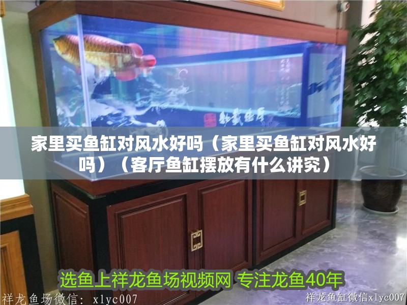 家里買魚缸對風水好嗎（家里買魚缸對風水好嗎）（客廳魚缸擺放有什么講究）