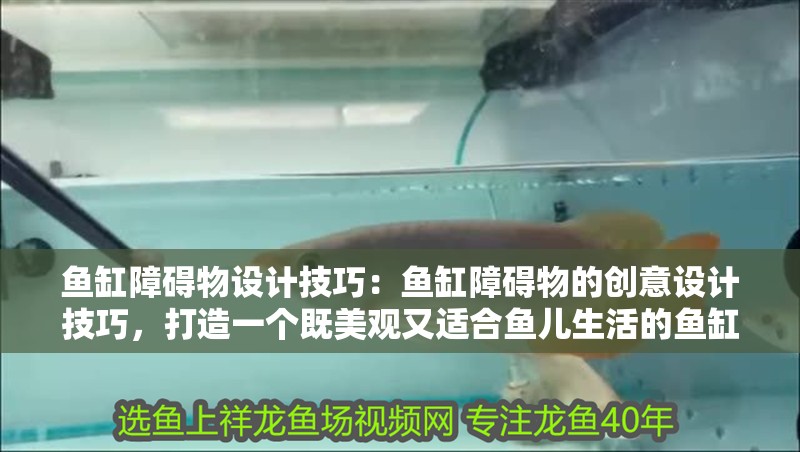 魚缸造景先放沙還是先放水(魚缸造景先鋪沙還是先放石頭) 魚缸障礙物設計技巧:魚缸障礙物的創意設計技巧,打造一個既美觀又適合魚兒生活的魚缸環境 魚缸百科 魚缸障礙物設計技巧:魚缸障礙物的創意設計技巧,打造一個既美觀又適合魚兒生活的魚缸環境 魚缸障礙物設計技巧:魚缸障礙物的創意設計技巧,打造一個既美觀又適合魚兒生活的魚缸環境 魚缸百科