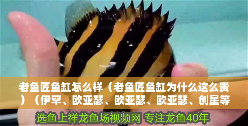 老魚匠魚缸怎么樣（老魚匠魚缸為什么這么貴）（伊罕、歐亞瑟、歐亞瑟、歐亞瑟、創(chuàng)星等品牌的加熱棒）
