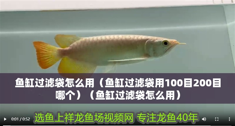 魚缸過濾袋怎么用（魚缸過濾袋用100目200目哪個）（魚缸過濾袋怎么用） 魚缸過濾袋怎么用（魚缸過濾袋用100目200目哪個）（魚缸過濾袋怎么用） 魚缸百科