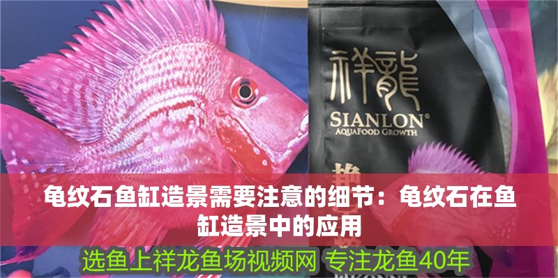 龜紋石魚缸造景需要注意的細節：龜紋石在魚缸造景中的應用 龜紋石魚缸造景需要注意的細節：龜紋石在魚缸造景中的應用 魚缸百科