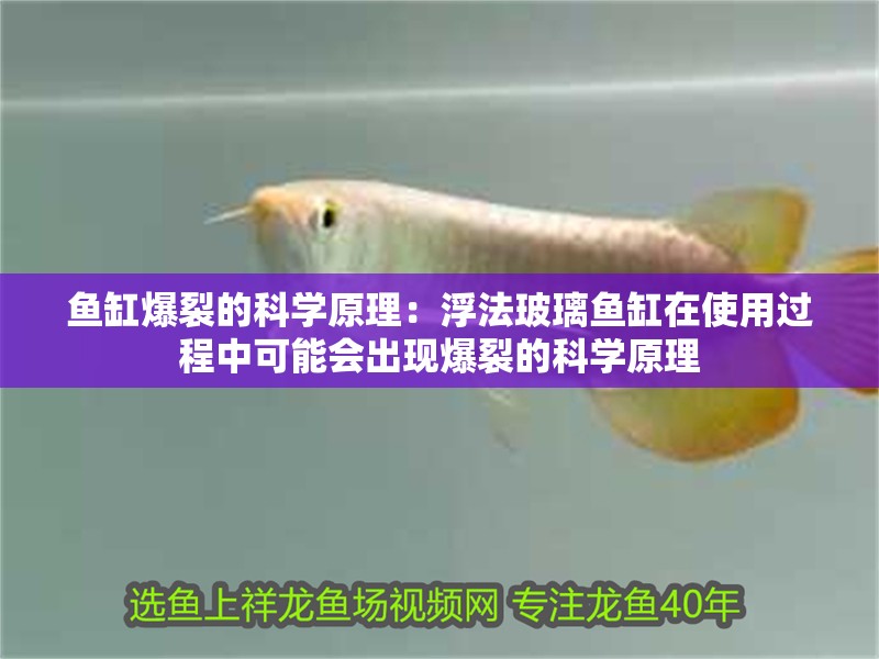 魚缸爆裂的科學原理：浮法玻璃魚缸在使用過程中可能會出現爆裂的科學原理 魚缸爆裂的科學原理：浮法玻璃魚缸在使用過程中可能會出現爆裂的科學原理 魚缸百科
