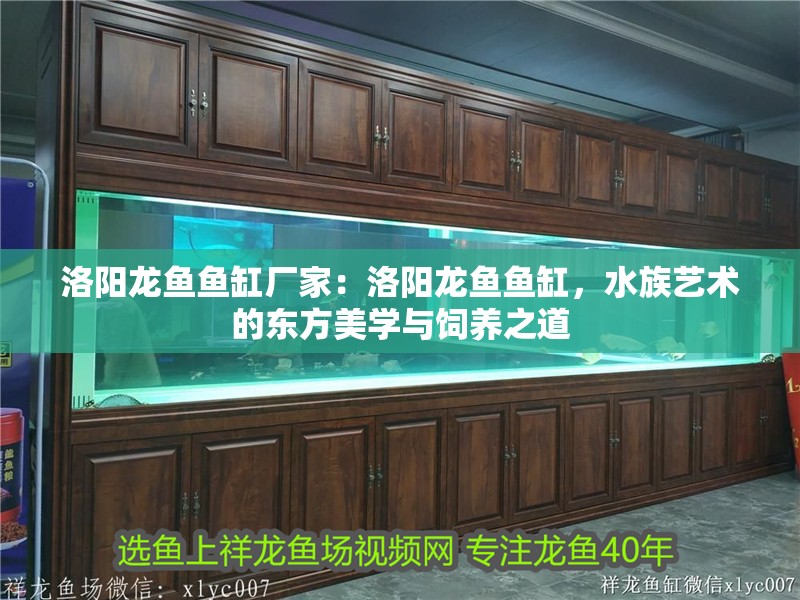 洛陽龍魚魚缸廠家：洛陽龍魚魚缸，水族藝術的東方美學與飼養之道